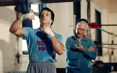 Small business SEO: You might be Rocky but you still need a coach!