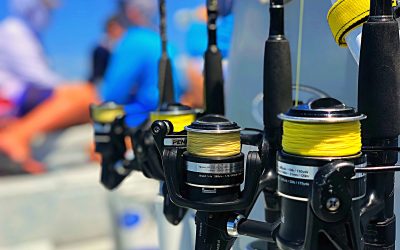 Tampa fishing Charters